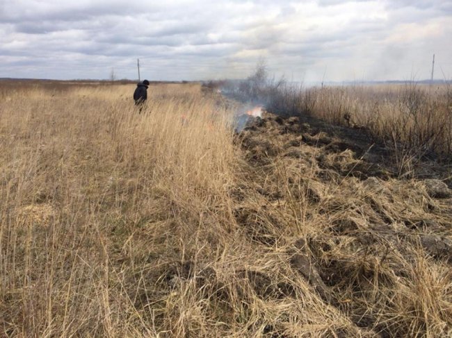 На Волині чоловік підпалив суху траву і не міг пояснити причину вчинку