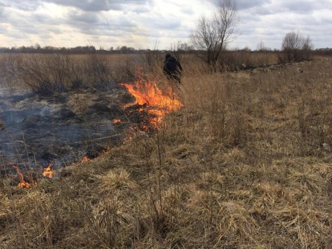 На Волині чоловік підпалив суху траву і не міг пояснити причину вчинку