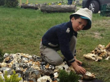 Діти перетворили шкільне подвір’я на витвір мистецтва