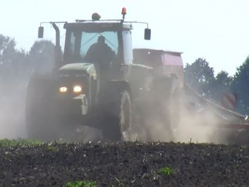 Польові роботи на Волині: як фермери збирають врожай. ВІДЕО