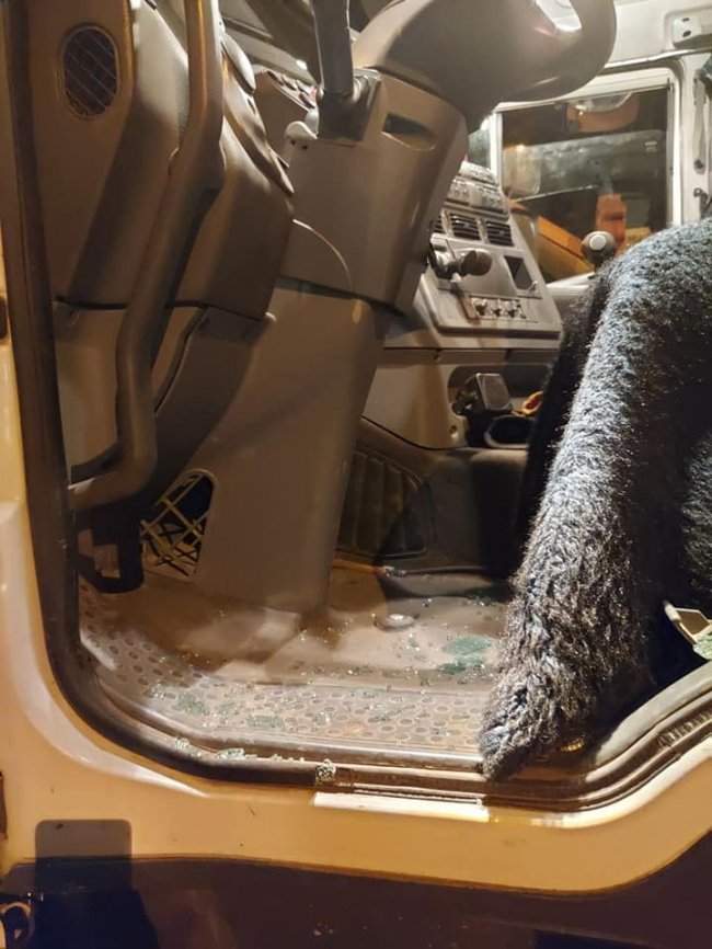 П'яні підприємці та «тітушки» влаштували провокації біля Центрального ринку, – муніципали. ВІДЕО