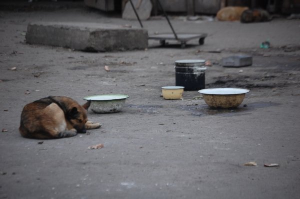 Фотовиставка Ірини Ільчук 