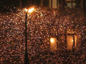 Якою буде погода на Волині у понеділок, 21 грудня 