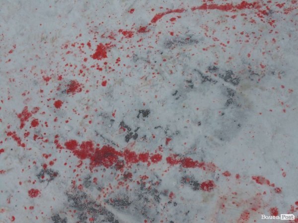 У Луцьку завадили провести урочистості «на крові». ФОТО. ВІДЕО