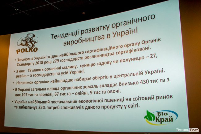Ласують у Парижі та Берліні: малина з Волині «виходить» на європейський ринок