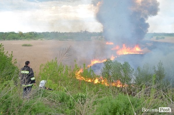 Пожежа очерету на Гнідаві. ФОТО. ВІДЕО