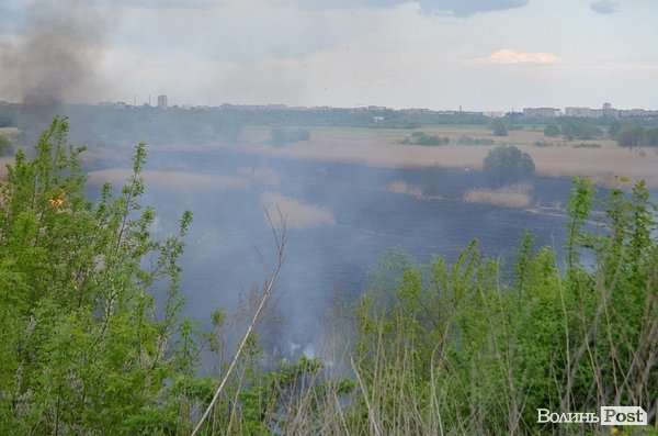 Пожежа очерету на Гнідаві. ФОТО. ВІДЕО