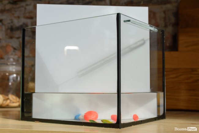 Меблі щасливих людей: волинська компанія BROSKO успішно реалізує унікальні проєкти*