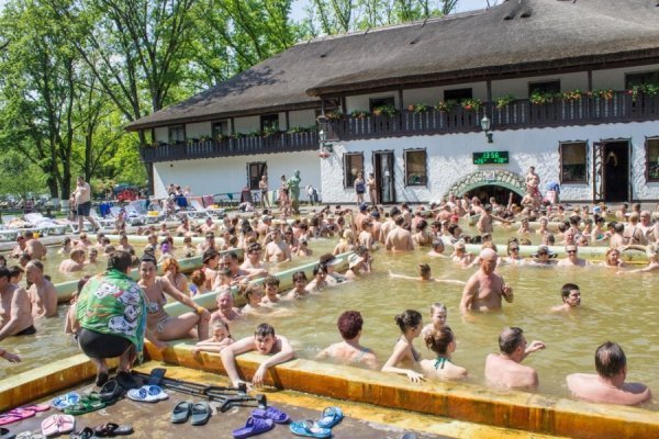 Відбувся ІІ Чемпіонат бограчу. ФОТО*
