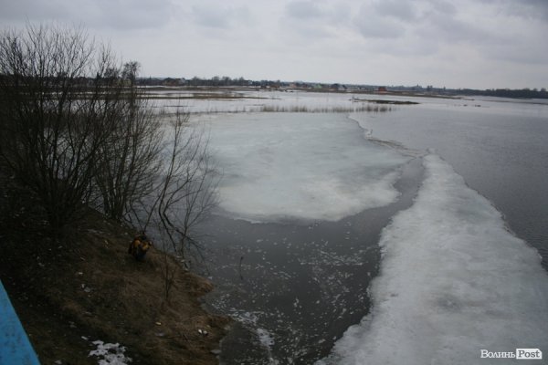 Затопило луг біля села Рованці. ФОТО