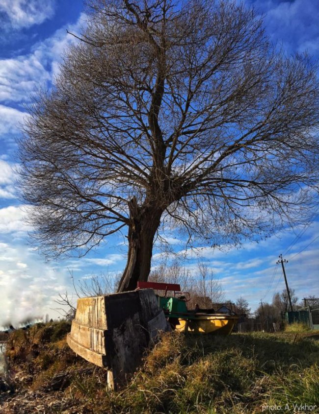 Неймовірні фото заморозків на волинському озері