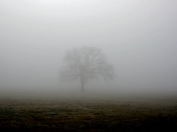 На Заході України – густий туман і ожеледь