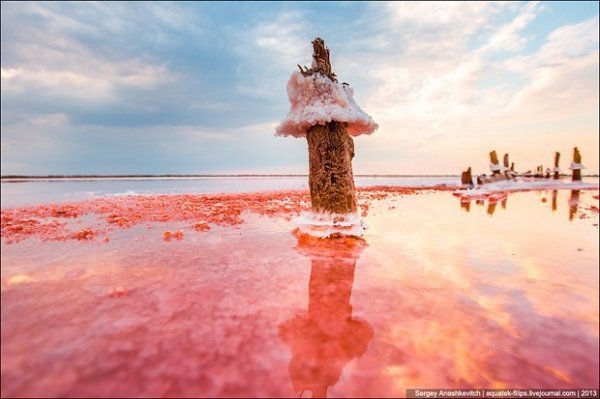 Соляні квіти та багряні ріки Криму. ФОТО