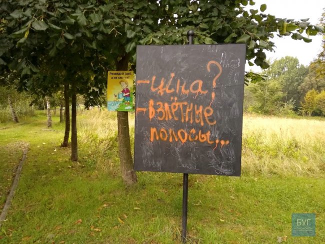 На Волині двоє дівчат розмалювали пам'ятники та смітники. ФОТО