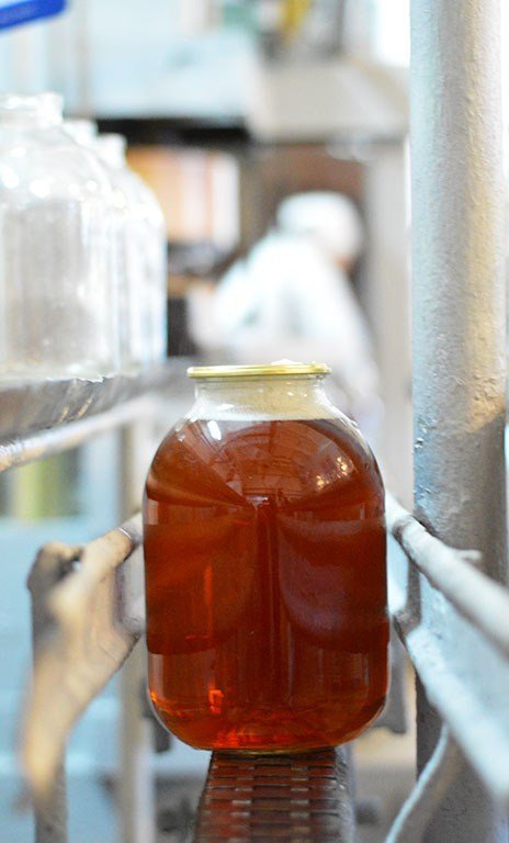 Із позначкою «органік»: березовий сік з Волині п'ють навіть у США. ФОТО