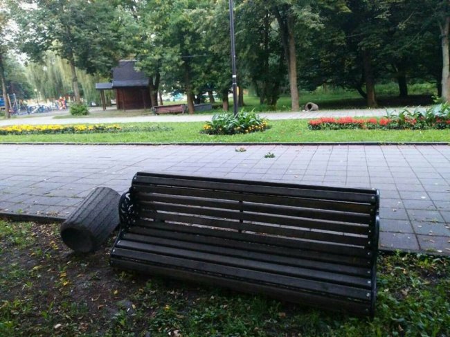 Невідомі повиривали квіти з клумб у луцькому парку. ФОТО