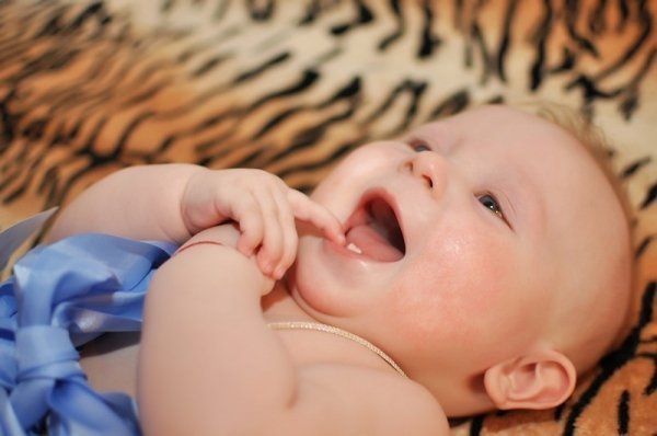 Фотовиставка Тетяни Кірчук