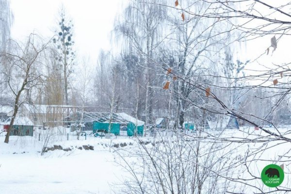 Зима в Луцькому зоопарку