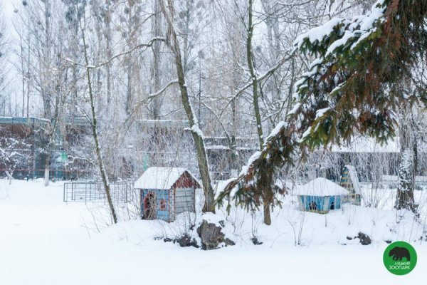 Зима в Луцькому зоопарку