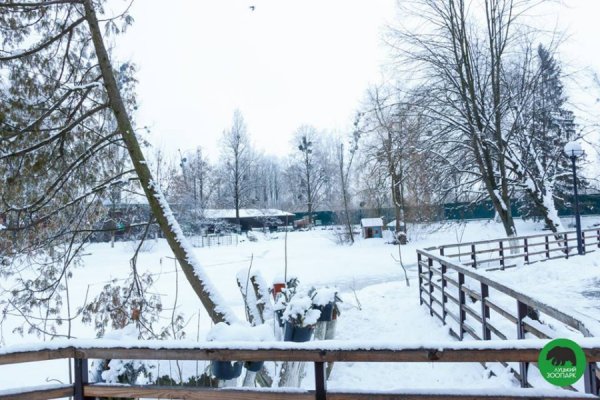 Зима в Луцькому зоопарку