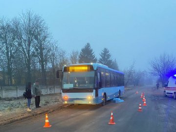 У Луцьку під колесами маршрутки загинула жінка