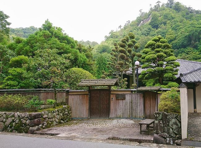 Викладач з Волині розповів про свої враження від подорожі до Японії