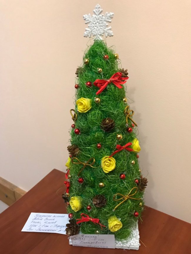 Новорічна еко-ялинка: на Волині для дітей організували конкурс. ФОТО