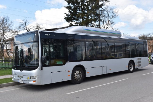 Для луцького «тролейбусного» підприємства можуть купити автобуси MAN