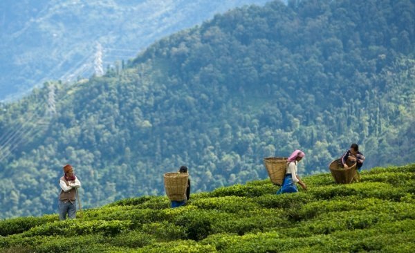 Останні анексії у світовій історії. ФОТО