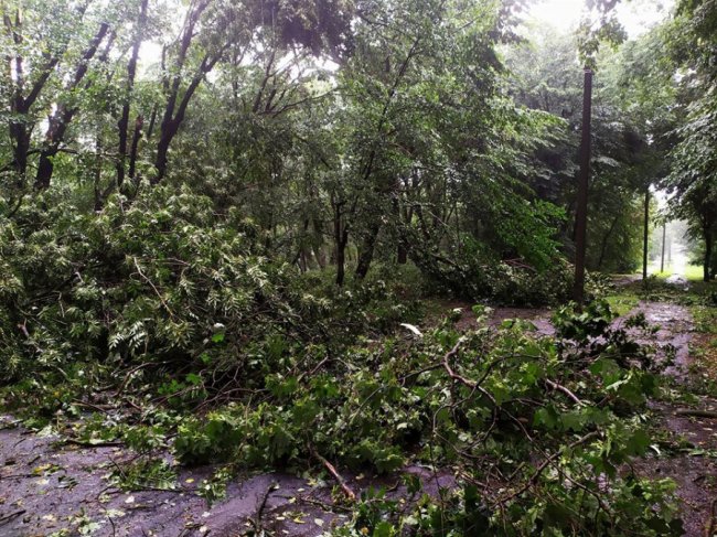 Андрій Гаврилюк
