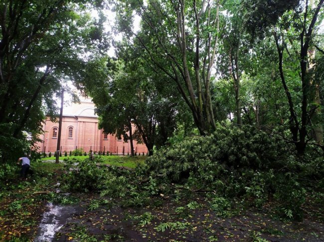 Андрій Гаврилюк