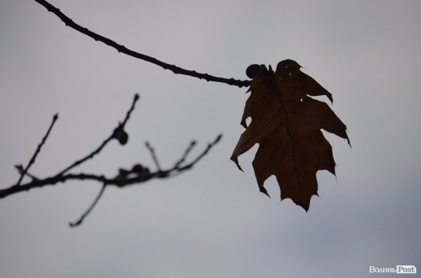 Лучани винесли 150 мішків сміття з скверу Героїв Майдану. ФОТО 