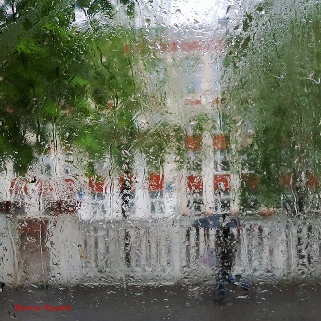 Луцький фотограф поділився «дощовими» світлинами