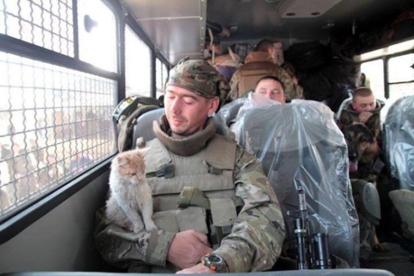 Зворушливі фото з передової: фронтові улюбленці солдатів. ФОТО