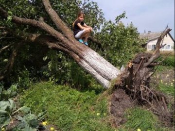 На Волині через буревій повалило дерева і позривало дахи будинків