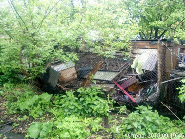 Лучанка роками зносила та складала сміття біля свого будинку. ФОТО