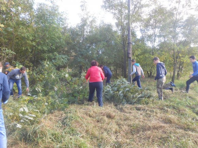 Древній маєток на Волині розчистили від чагарників. ФОТО