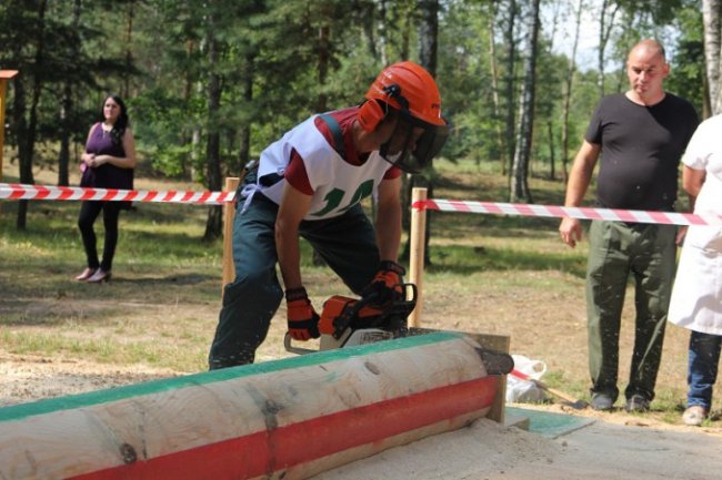 На Волині обрали кращого лісоруба. ФОТО