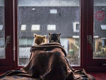 Погода у Волинській області та у Луцьку завтра, 13 жовтня