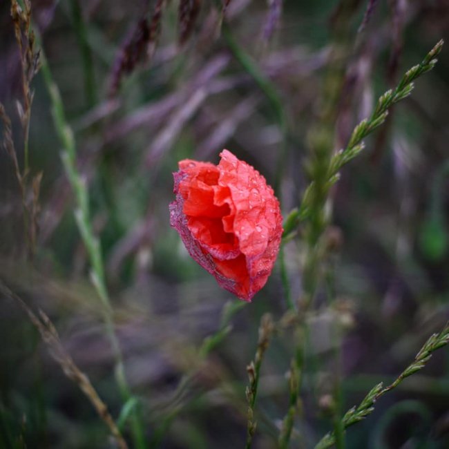 Неймовірні краєвиди природи на знімках волинської волонтерки