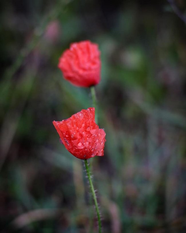 Неймовірні краєвиди природи на знімках волинської волонтерки