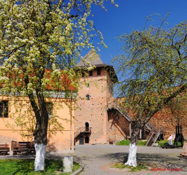 Нерозгадані таємниці і втрачені скарби: луцький фотограф показав родзинку міста