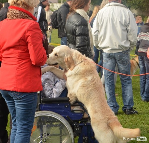 У Луцьку – виставка собак. ФОТО