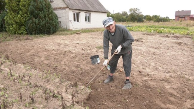 Скільки коштує картопля на ринках Луцька: ціни