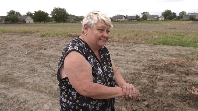 Скільки коштує картопля на ринках Луцька: ціни