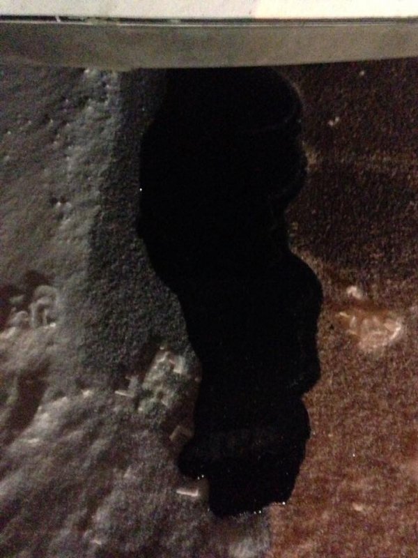 Член виконкому міськради Луцька потрапив у аварію