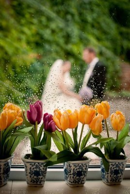 Фотовиставка Василя Шевчука