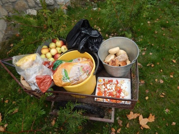 Зоопарк в Замості: погляд з Луцька. ФОТО