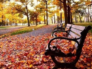 Погода у Луцьку на завтра, 26 листопада