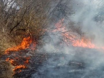 На Полтавщині жінка запалила сухе листя і згоріла живцем сама